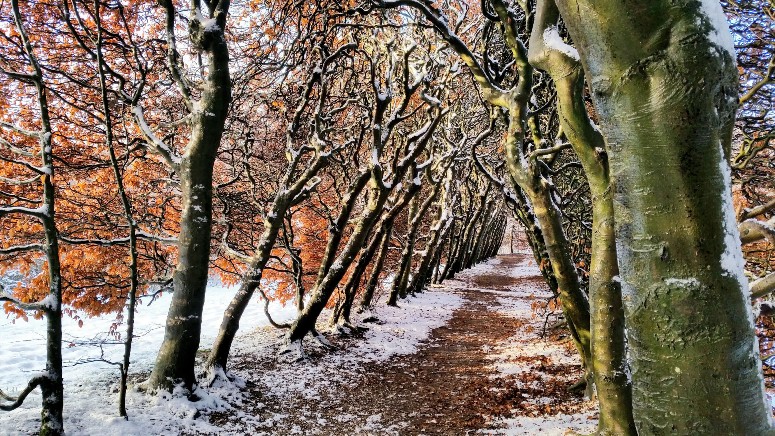 Kwetsbare natuur Mariëndaal zet streep door opvang van Oekraïners